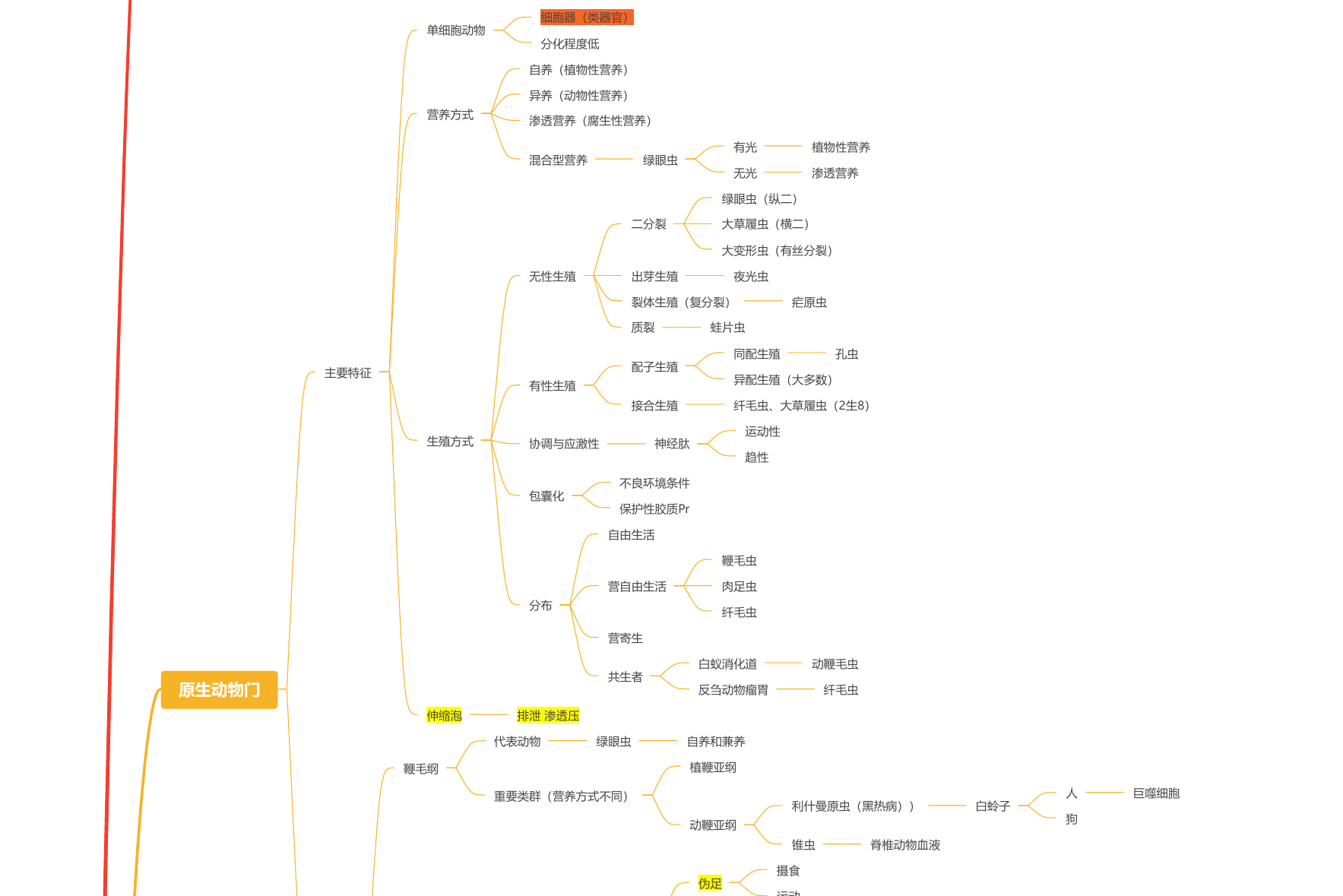 普通动物学大纲一眼记完-云库