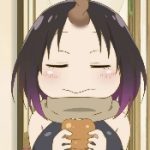 salad dog-云库