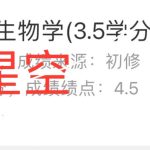 下载图标